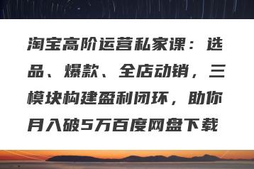 淘宝高阶运营私家课：选品、爆款、全店动销，三模块构建盈利闭环，助你月入破5万百度网盘下载