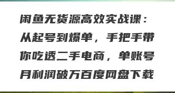 闲鱼无货源高效实战课：从起号到爆单，手把手带你吃透二手电商，单账号月利润破万百度网盘下载