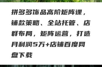 拼多多饰品高阶矩阵课，铺款策略、全站托管、店群布局，矩阵运营，打造月利润5万+店铺百度网盘下载