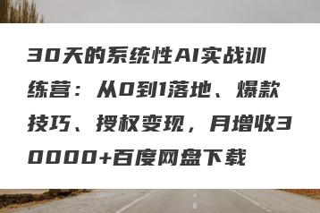 30天的系统性AI实战训练营：从0到1落地、爆款技巧、授权变现，月增收30000+百度网盘下载