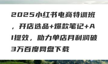 2025小红书电商特训班，开店选品+爆款笔记+AI提效，助力单店月利润破3万百度网盘下载