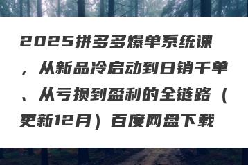 2025拼多多爆单系统课，从新品冷启动到日销千单、从亏损到盈利的全链路（更新12月）百度网盘下载