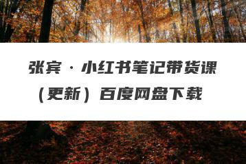 张宾·小红书笔记带货课（更新）百度网盘下载