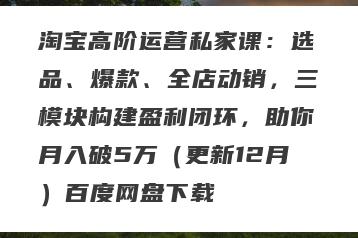 淘宝高阶运营私家课：选品、爆款、全店动销，三模块构建盈利闭环，助你月入破5万（更新12月）百度网盘下载