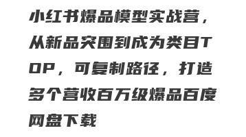 小红书爆品模型实战营，从新品突围到成为类目TOP，可复制路径，打造多个营收百万级爆品百度网盘下载