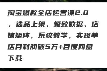 淘宝爆款全店运营课2.0，选品上架、极致数据、店铺矩阵，系统教学，实现单店月利润破5万+百度网盘下载