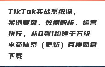 TikTok实战系统课，案例复盘、数据解析、运营执行，从0到1构建千万级电商体系（更新）百度网盘下载