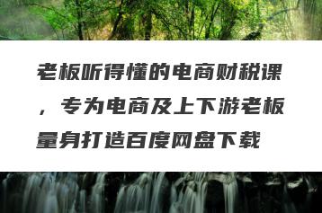 老板听得懂的电商财税课，专为电商及上下游老板量身打造百度网盘下载