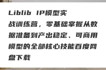 Liblib IP模型实战训练营，零基础掌握从数据准备到产出稳定、可商用模型的全部核心技能百度网盘下载