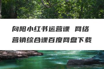 向阳小红书运营课 网络营销综合课百度网盘下载