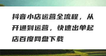 抖音小店运营全流程，从开通到运营，快速出单起店百度网盘下载