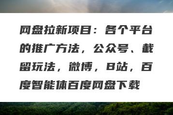 网盘拉新项目：各个平台的推广方法，公众号、截留玩法，微博，B站，百度智能体百度网盘下载