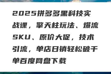 2025拼多多黑科技实战课，擎天柱玩法、爆流SKU、原价大促，技术引流，单店日销轻松破千单百度网盘下载