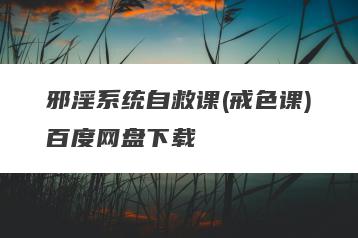 邪淫系统自救课(戒色课)百度网盘下载