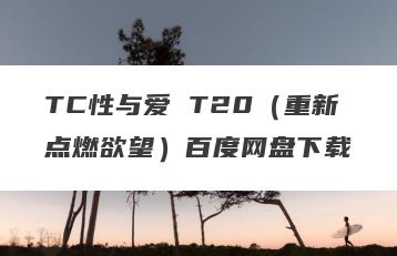 TC性与爱 T20（重新点燃欲望）百度网盘下载