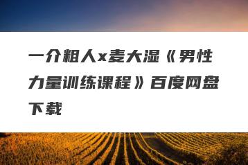 一介粗人x麦大湿《男性力量训练课程》百度网盘下载
