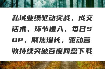 私域业绩驱动实战，成交话术、环节植入、每日SOP，聚焦增长，驱动营收持续突破百度网盘下载