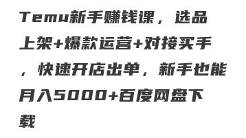 Temu新手赚钱课，选品上架+爆款运营+对接买手，快速开店出单，新手也能月入5000+百度网盘下载