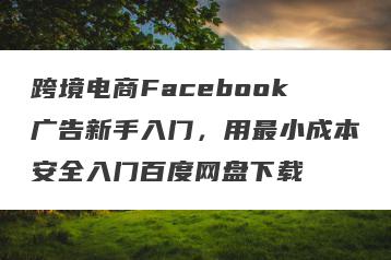 跨境电商Facebook广告新手入门，用最小成本安全入门百度网盘下载