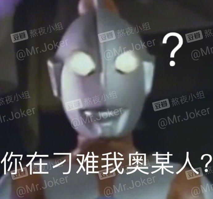 ls奴是什么意思(途观ls档是什么意思)