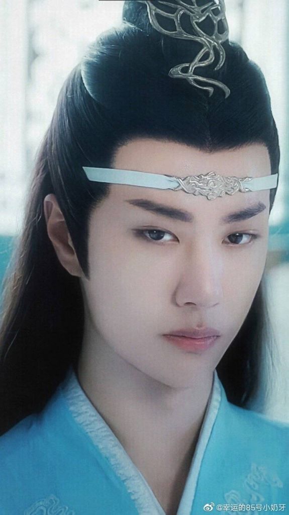 陈情令蓝湛是女扮男装的的简单介绍