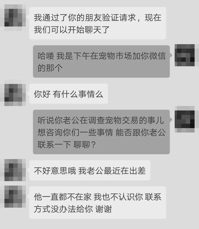 仙人跳是什么意思(仙人跳是什么意思哦)