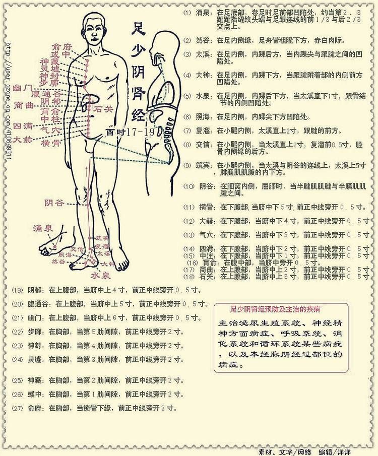 主人位在哪里图解(主位和主宾位的区分)