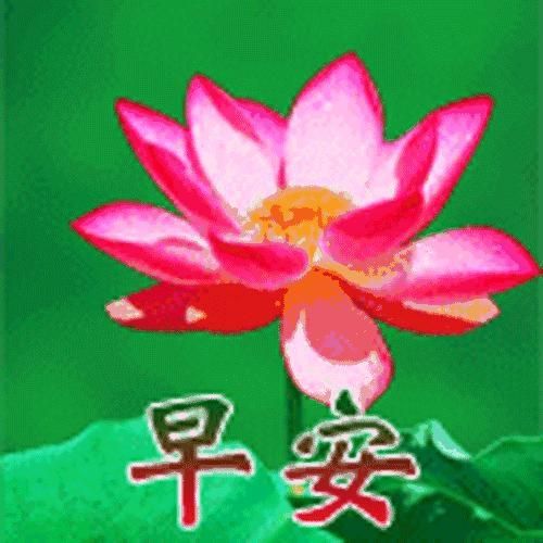 关于早上好送给正在创业的你的信息