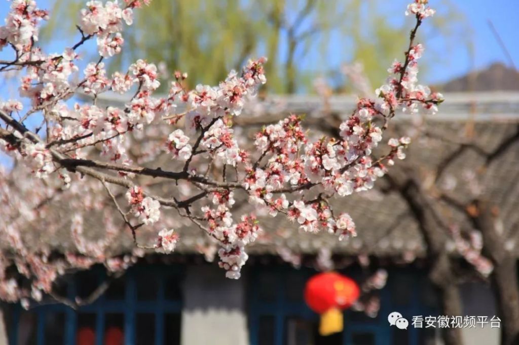 流连忘返是什么意思(流连忘返什么意思这个)