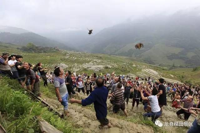 开龙脊是什么意思(师尊开龙脊是什么意思)