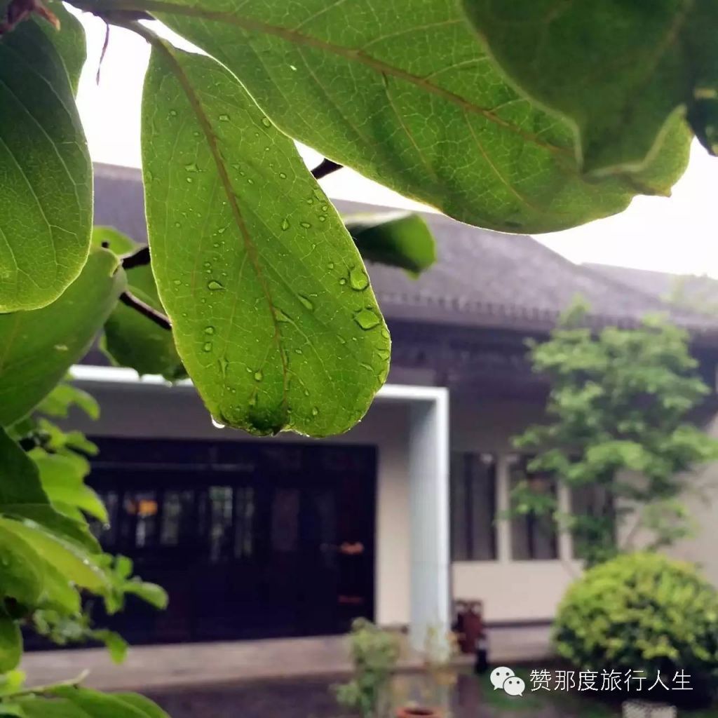 香住在哪(家里熏香风水大忌)