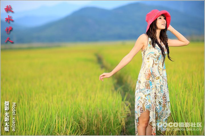 伊人什么意思(宋玉东墙神女高唐)