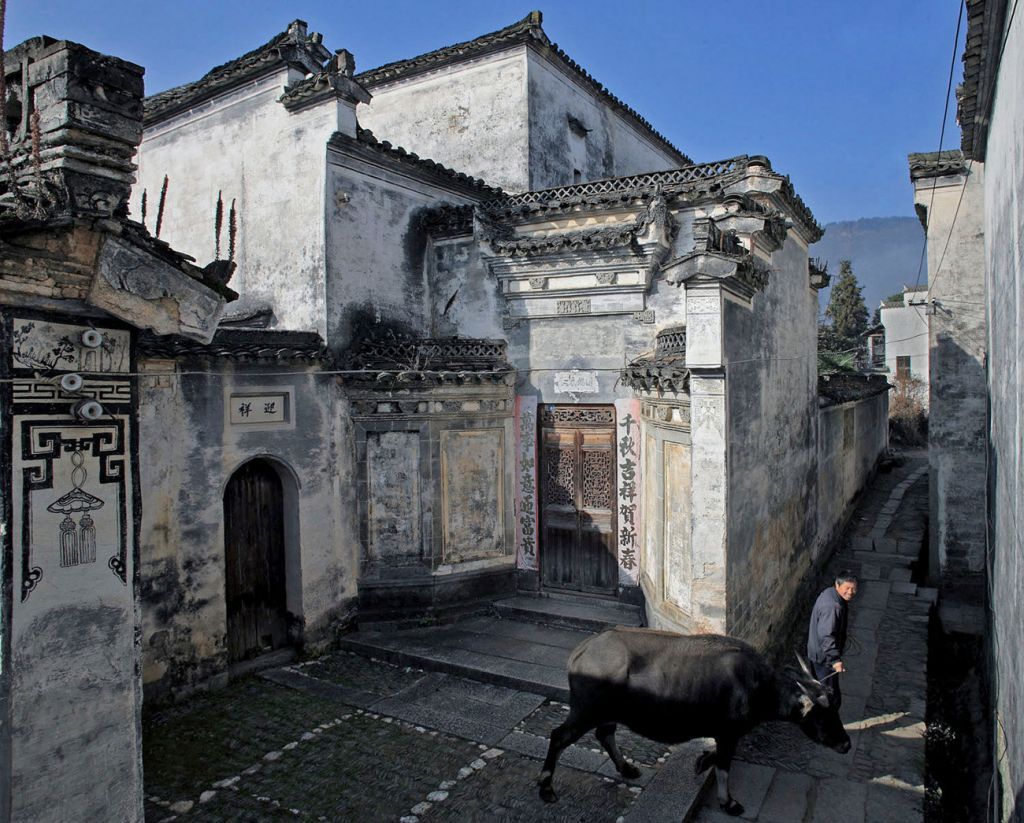 蕙洲在哪(徽州在哪里在哪个省份)