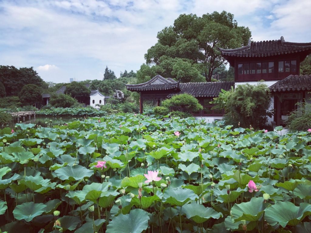 南园在哪儿(张店区第一幼儿园南园在哪儿)
