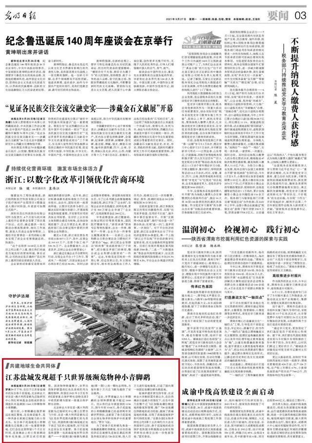 江苏盐城新闻最新(中国江苏盐城新闻网)