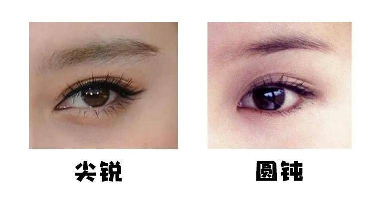 白月光朱砂痣什么意思(白月光是什么意思朱砂痣又是什么意思)