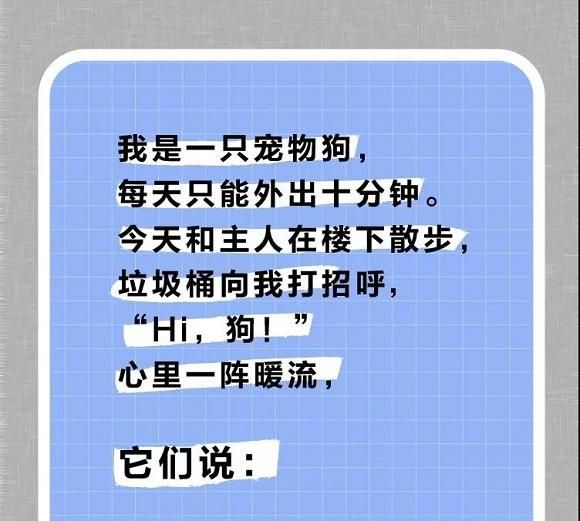 押一付三什么意思(押一付三什么意思呢)