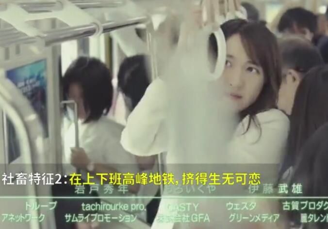 社畜什么意思(人间社畜什么意思)