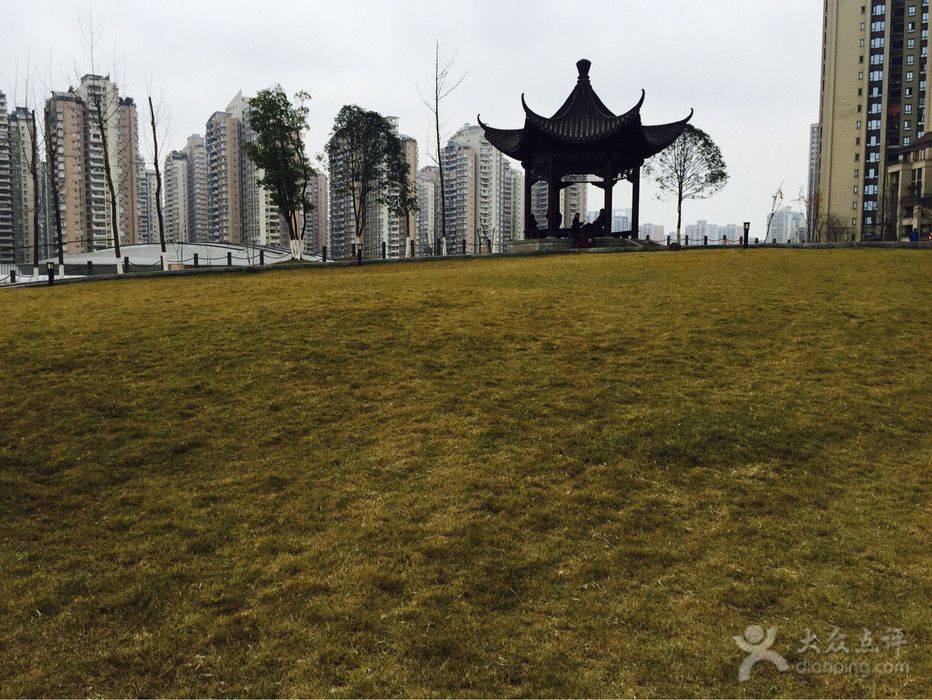 重庆石子山公园在哪里(重庆石子山体育公园在哪里)