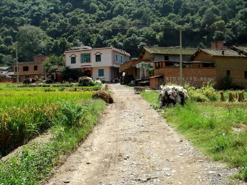 养马村在哪(养马村在哪里)