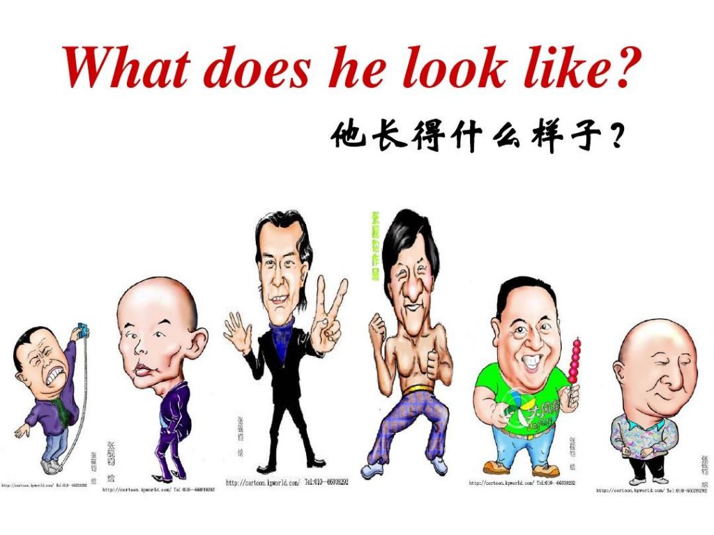 what是什么意思(who是啥意思是什么)