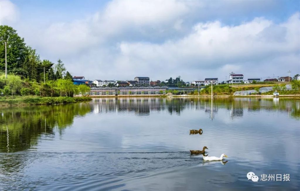 永丰镇在哪里(广东永丰镇在哪里)