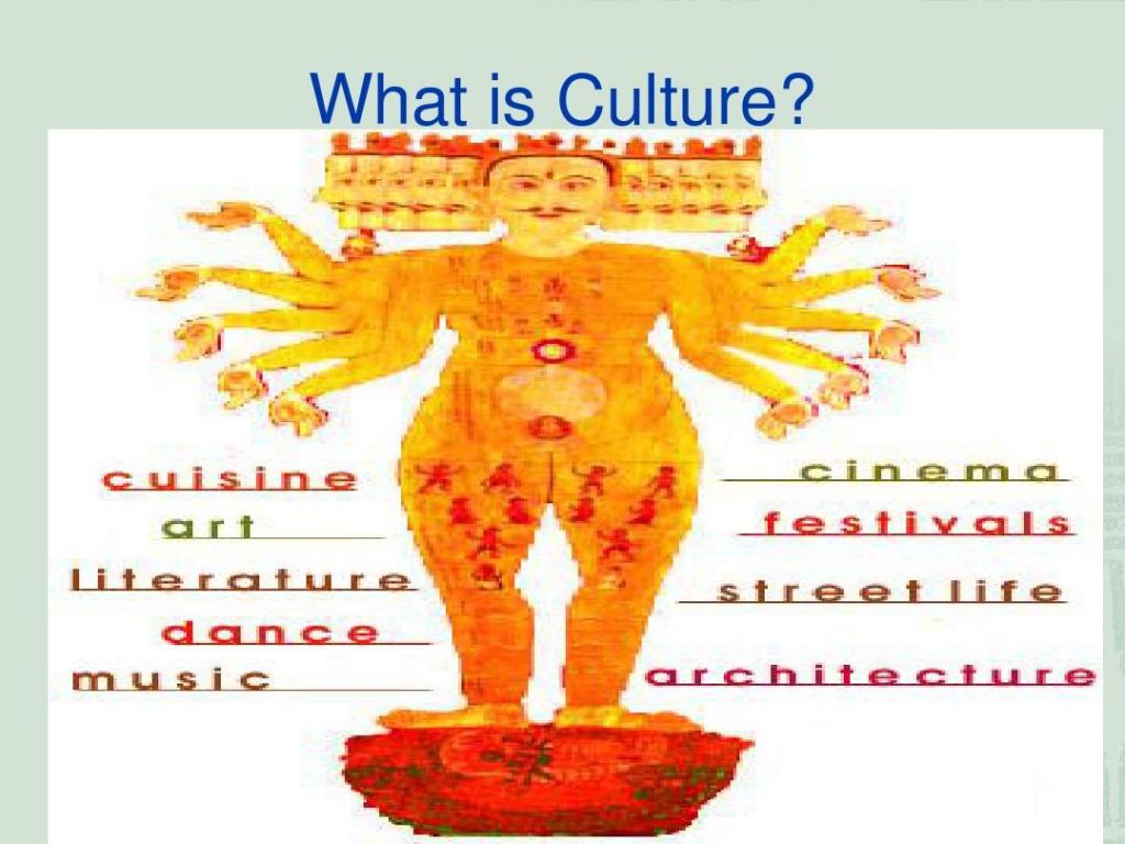 culture是什么意思(culture是什么意思英语)