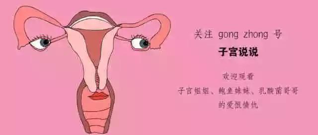 包含人的会阴在哪的词条