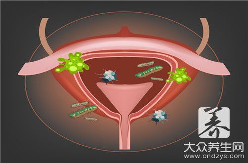 膀胱在哪里图解(膀胱经在哪里图解)