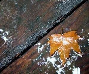 现在哪里在下雨(中国现在哪里在下雨)