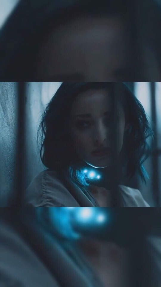 电影北极星在哪可以看的简单介绍