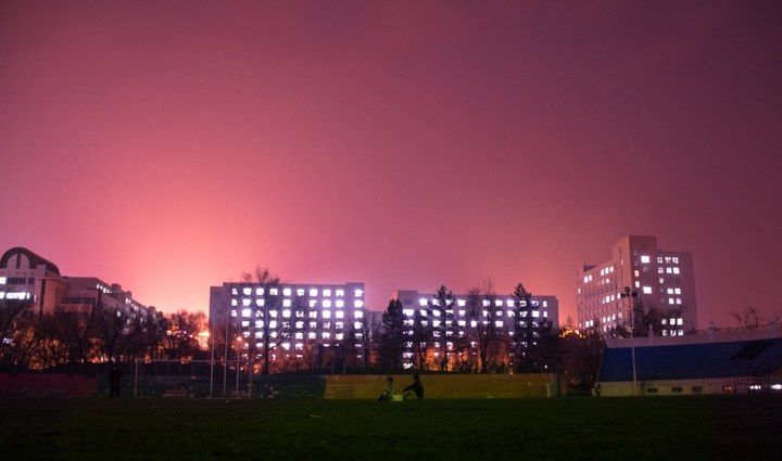 东北林业大学在哪里(东北林业大学在哪里个城市)