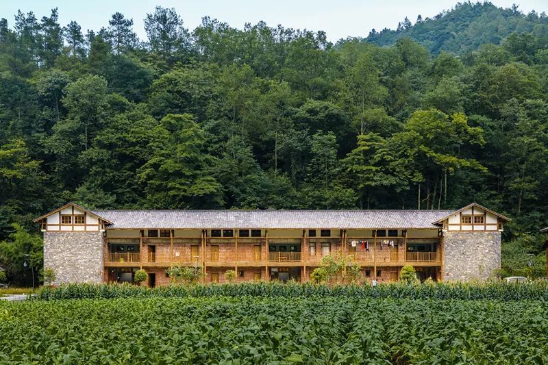 乡村民宿的影响(乡村民宿设计效果图)