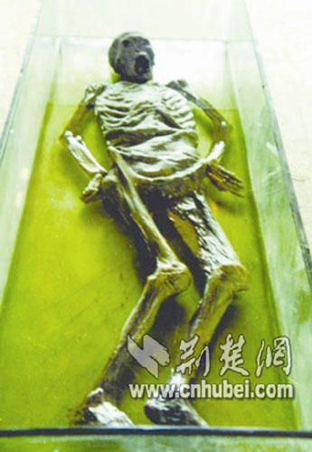 马王堆的女尸在哪里看(马王堆出土的女尸在哪里)
